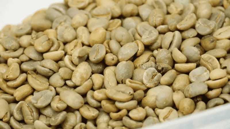 コーヒー豆自家焙煎ハンズオン